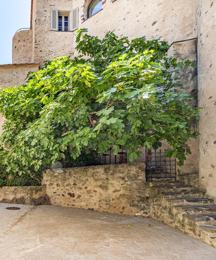 Maison de la Citadelle - Location